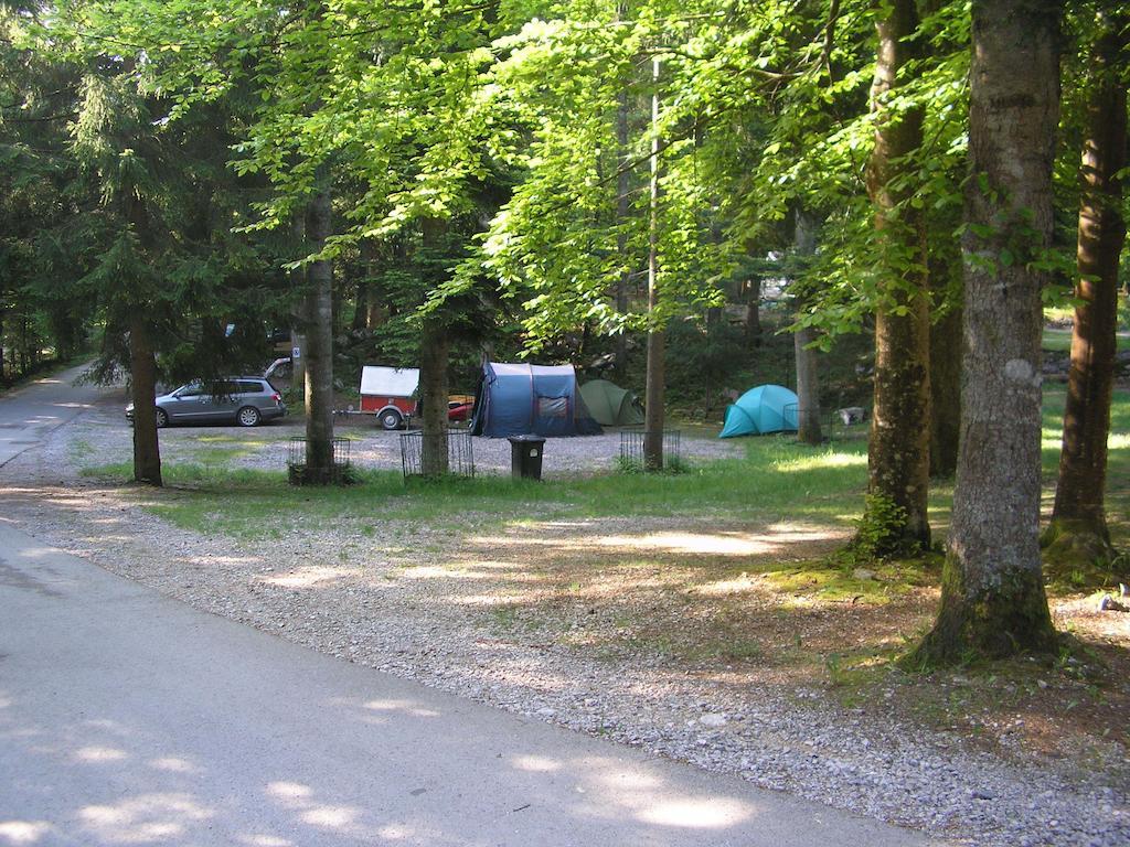 Camping Pivka Jama Postojna Exteriör bild