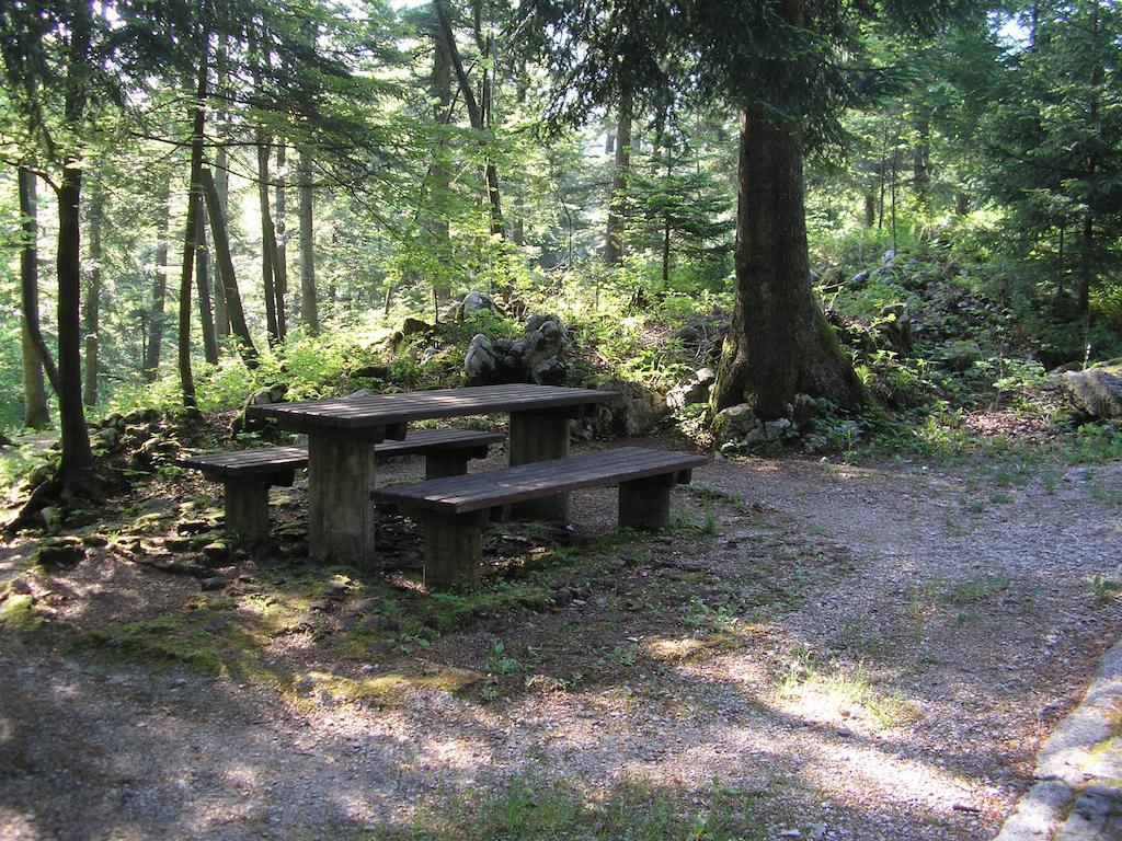 Camping Pivka Jama Postojna Exteriör bild