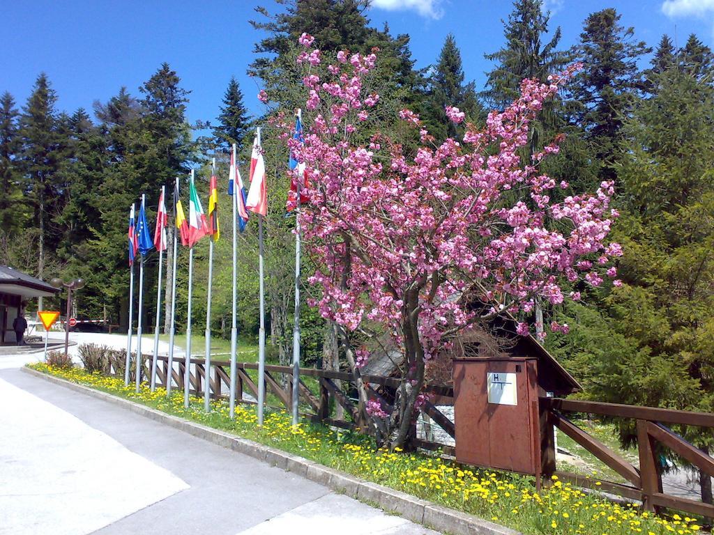 Camping Pivka Jama Postojna Exteriör bild